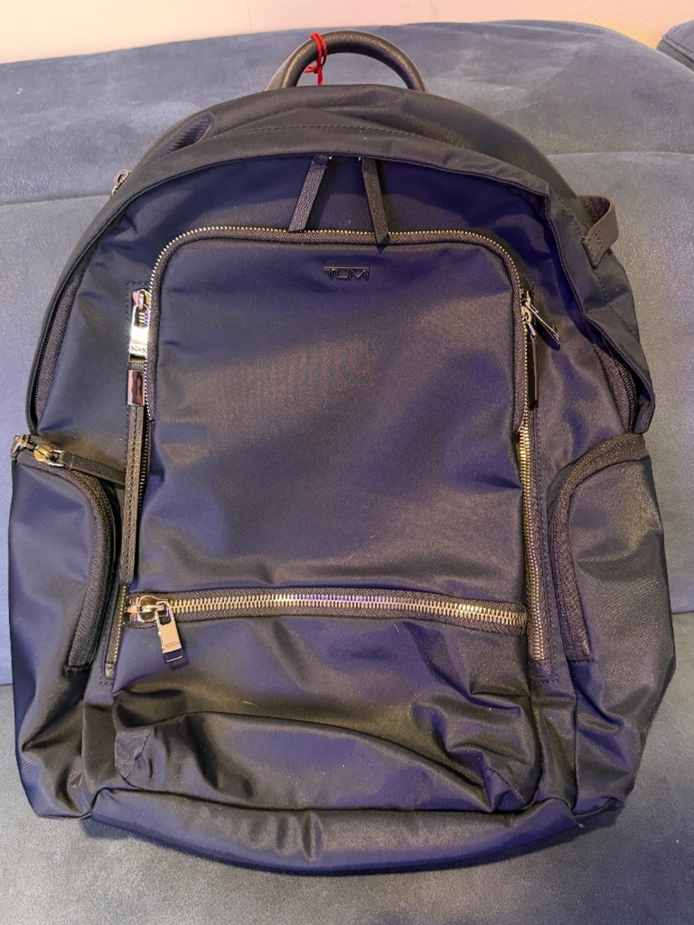 Tumi Voyager Travel Backpack